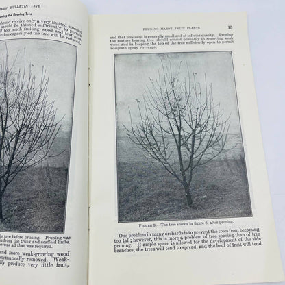 1950s Pruning Hardy Fruit Plants US Department of Agriculture Booklet SB7