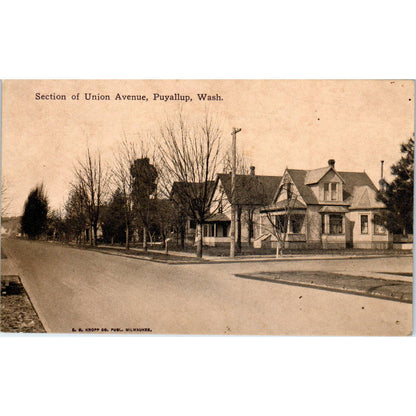 Antique Postcard Section of Union Avenue Puyallup Washington TD9