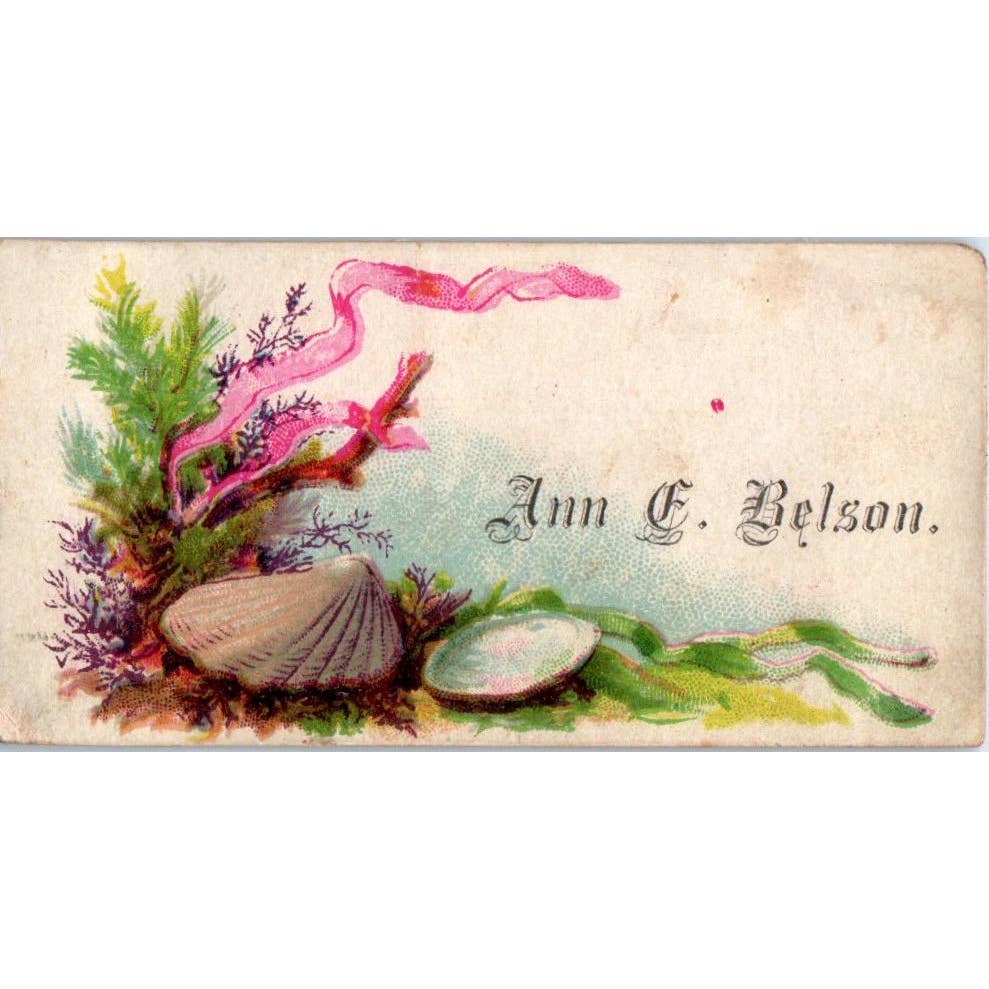 1880s Victorian Calling Card - Ann E. Belson SF2