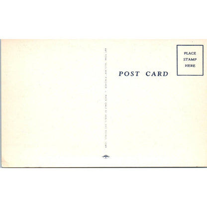 Women in the Military WW2 Humor Peeling Potatoes WAC Original Postcard TK1-25