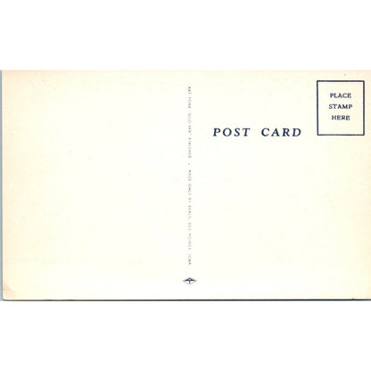 Women in the Military WW2 Humor Peeling Potatoes WAC Original Postcard P2-10