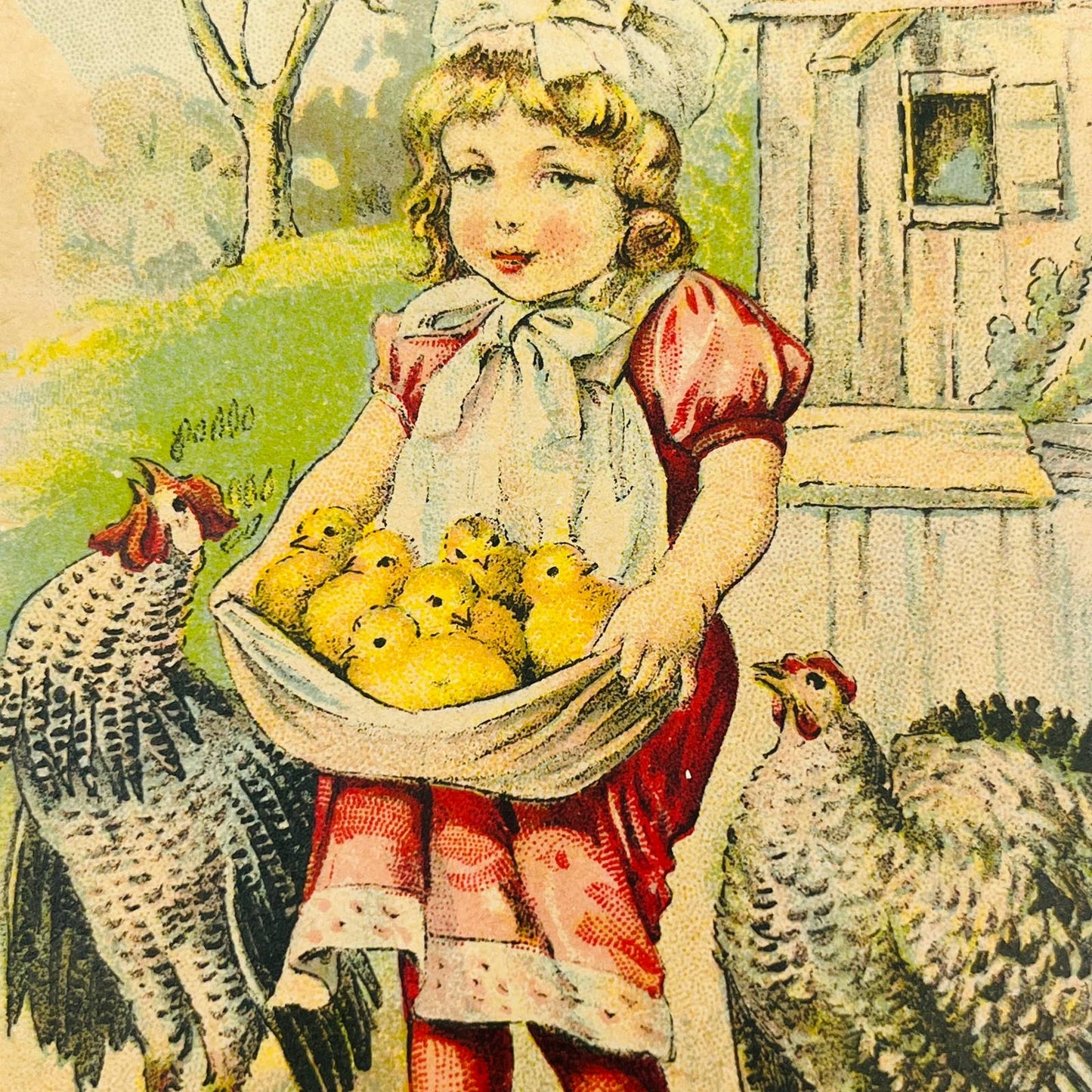 1910s Easter Post Card Rooster Chicken Girl w/ Apron Full of Baby Chicks PA5