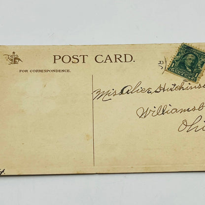 1910s Christmas Post Card Embossed Mica Shamrock Flower Gilt PA4