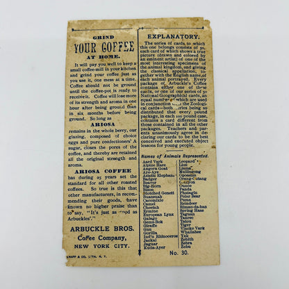 1890s Victorian Trade Card Arbuckle Coffee Ariosa NY Mullingong Platypus AH9-M10