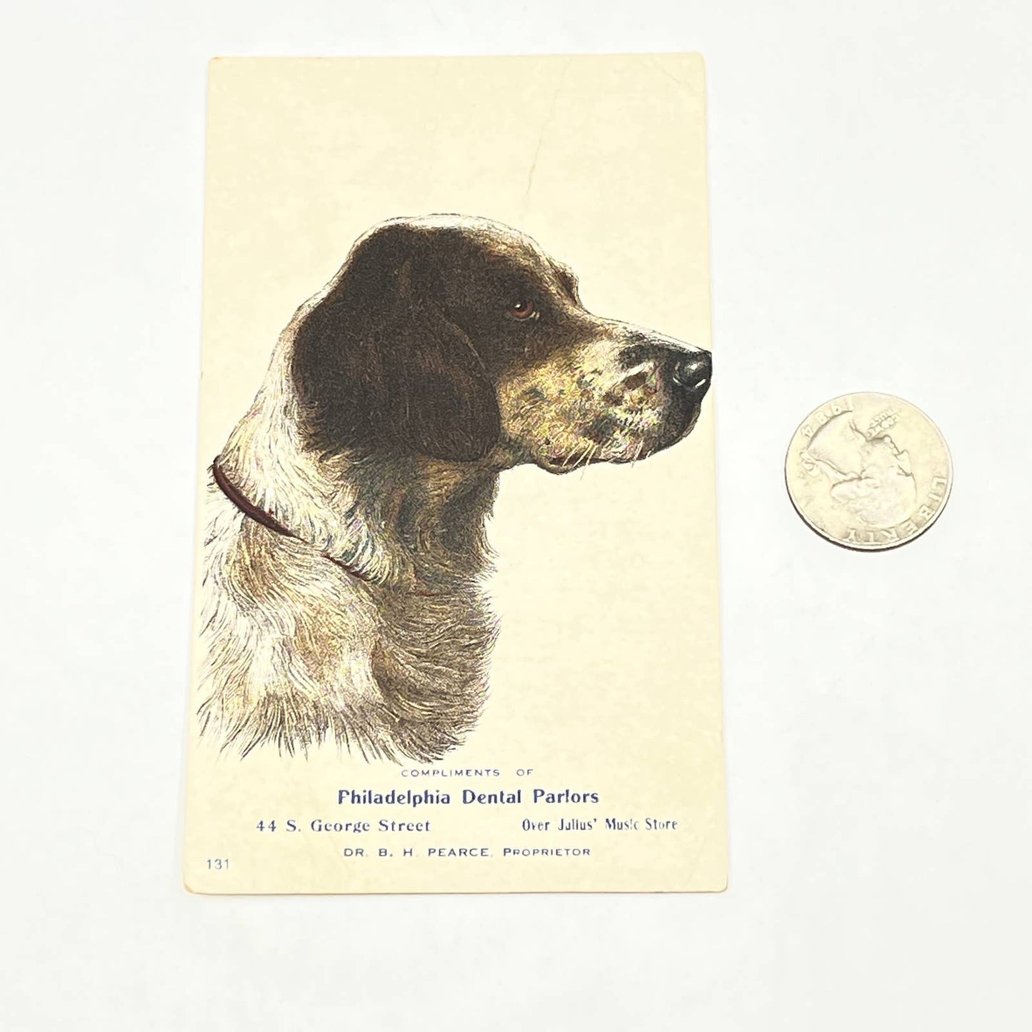 Original 1880s Victorian Trade Card Pointer Dog Philadelphia Dental Parlors AB6