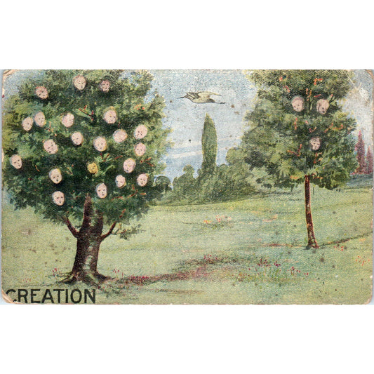 Trees With Baby Heads In Them "Creation" Oddity c1910 Postcard TK1-26