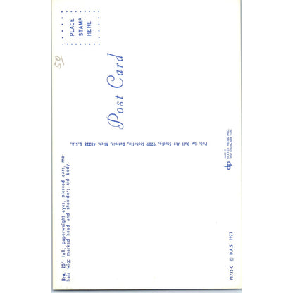 Bru Paperweight Eyes Doll Art Studio 1971 Original Postcard PB6