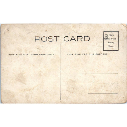 Trees With Baby Heads In Them "Creation" Oddity c1910 Postcard TK1-26