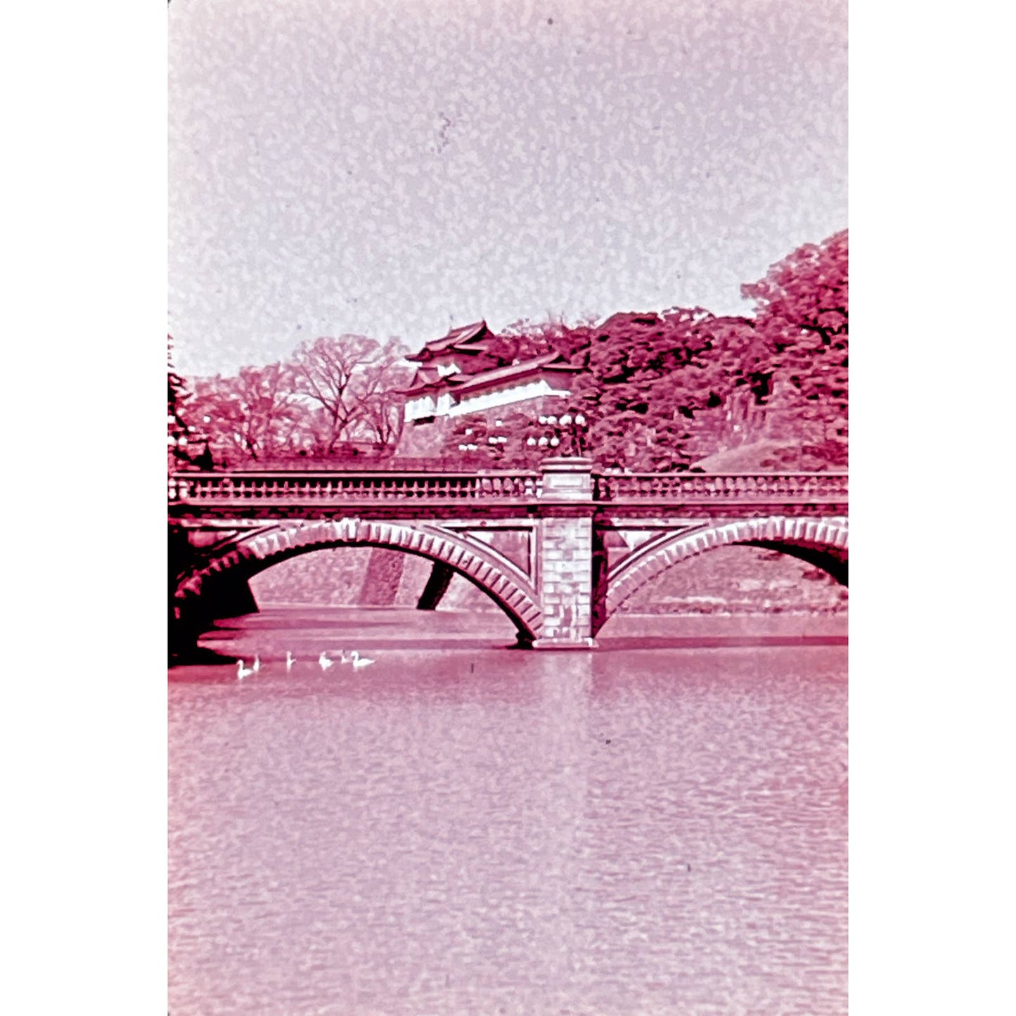 1960s Beautiful Japan , Kyoto Set of 5 2x2 Slides TK2-S3-6