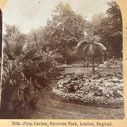 Palm Garden Battersea London England 1895 Antique Stereoview Card TJ9-V2