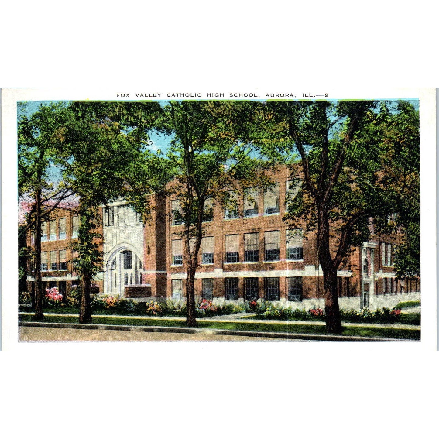 Fox Valley Catholic High School Aurora Illinois Original Postcard TK1-P19