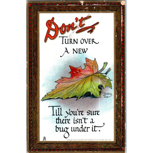 Don't Turn Over a New Leaf Raphael Tuck Original Postcard TK1-P14