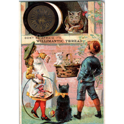 1880s Victorian Trade Card Willimantic Thread Anthropomorphic Cats Kittens SF2