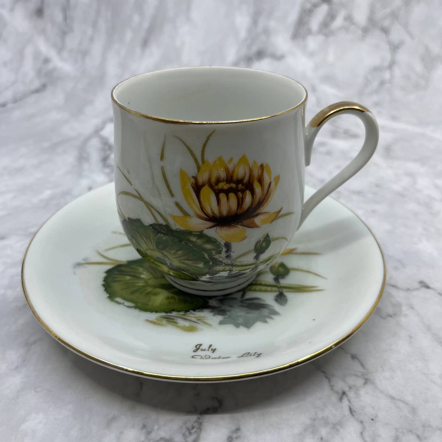 Vintage Norcrest July Water Lily Fine China Cup and Saucer Set TD6