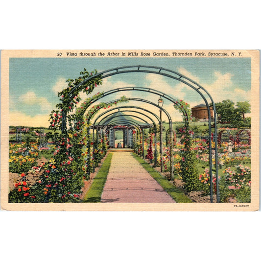Arbor Vista Mills Rose Garden Thornden Park Syracuse NY Original Postcard P3-3