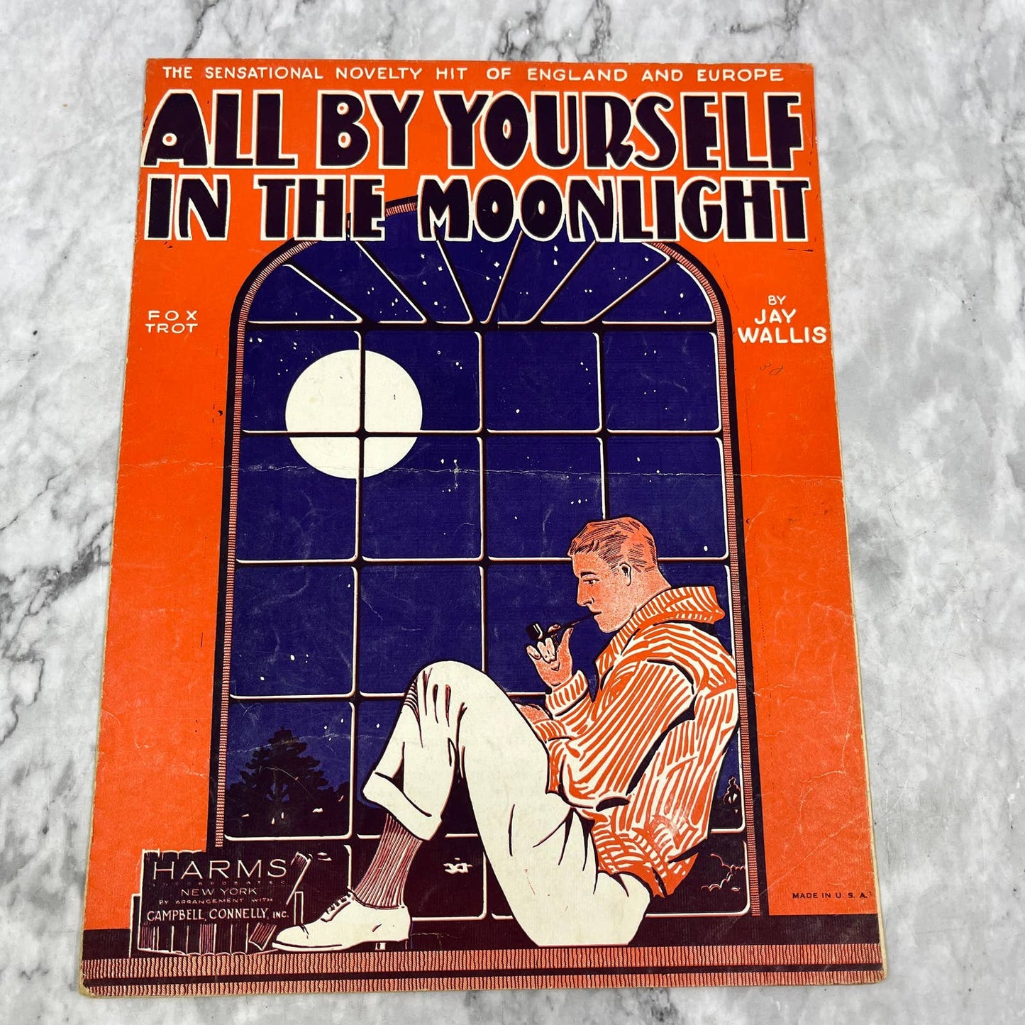 All By Yourself in the Moonlight Jay Wallis 1928 Sheet Music TK2-SM3