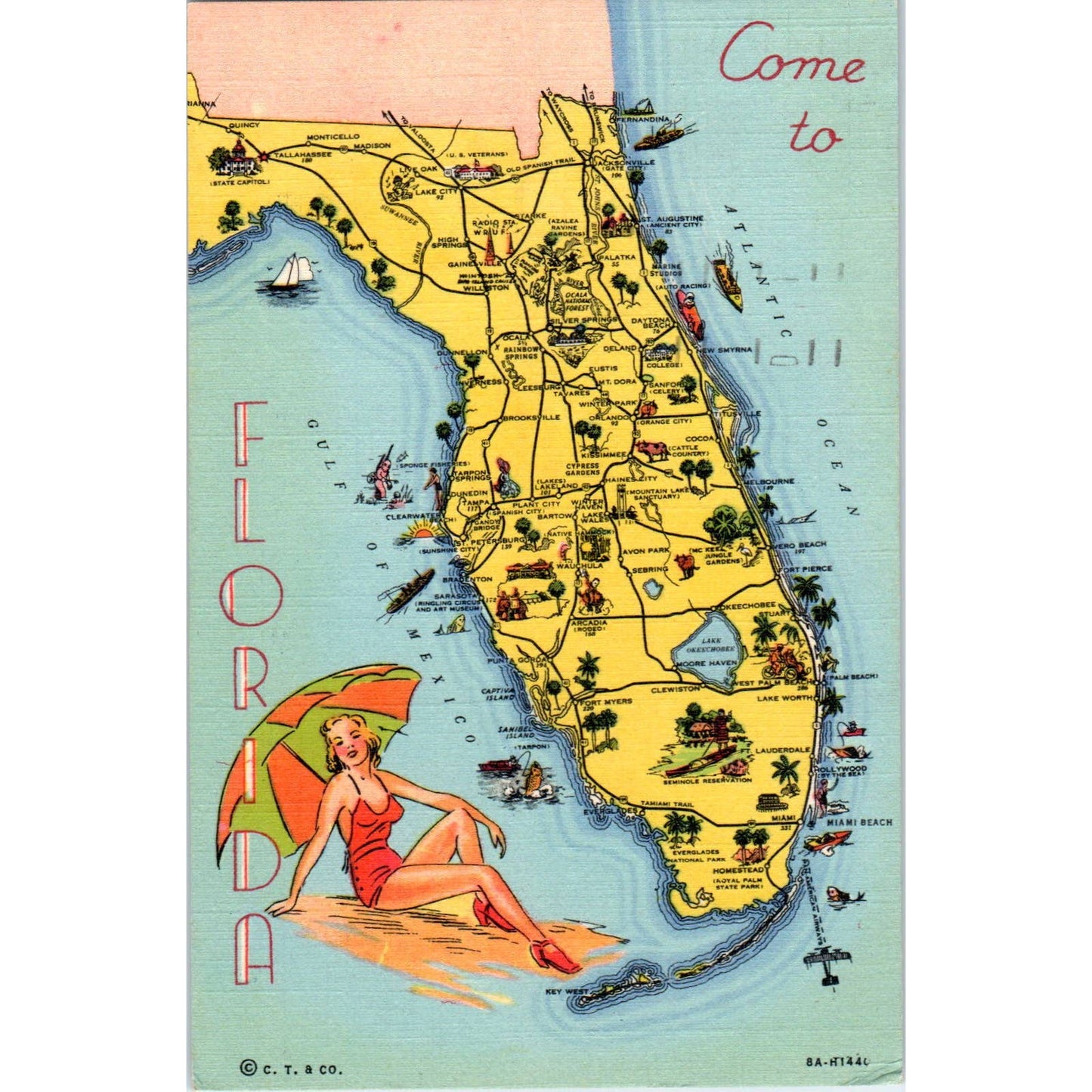 Florida Illustrated Map 1950 Original Postcard TK1-20