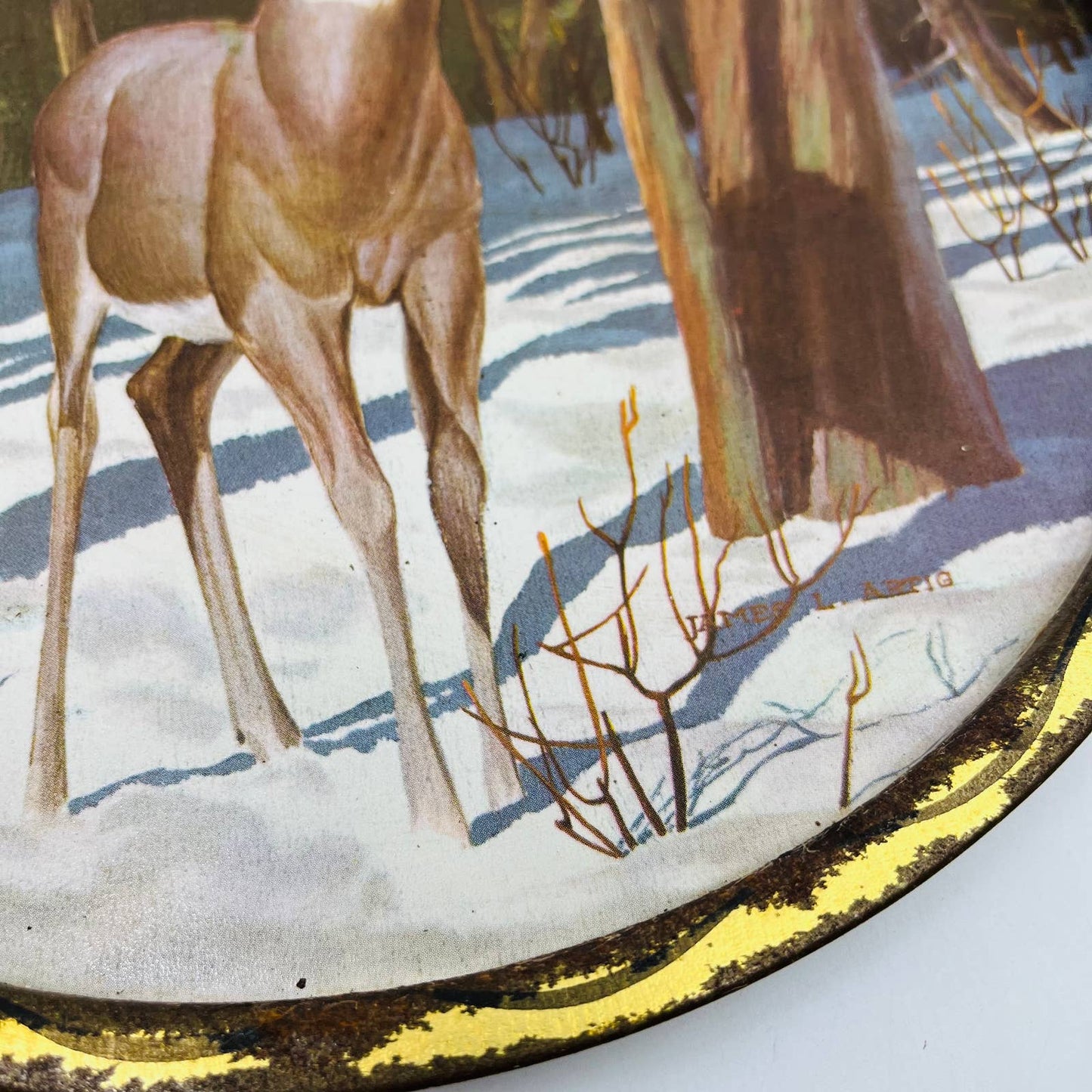 1960s Hunting James L  Artig Wall Mount Serving Tray Buck Deer Forest  11” TD3