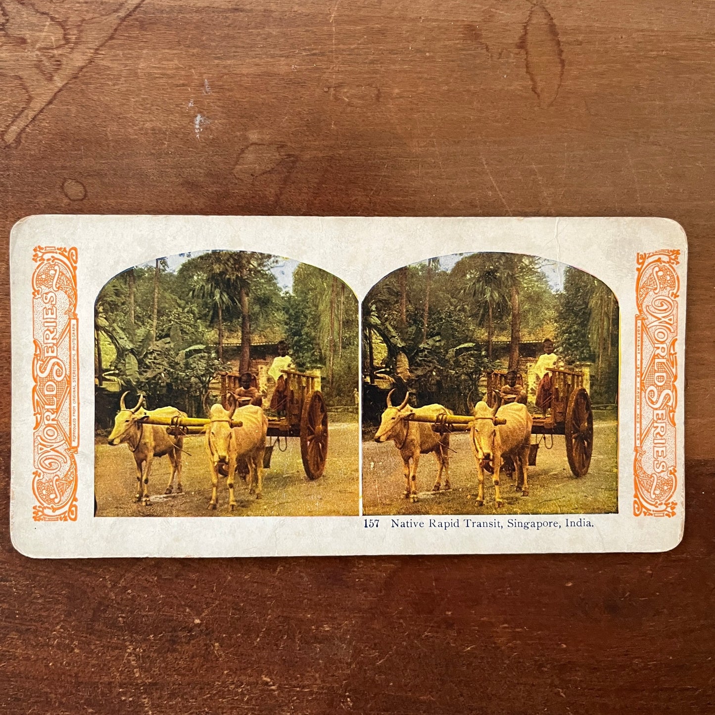 Native Rapid Transit Ox Cart Singapore India Antique Stereoview Card H2-3