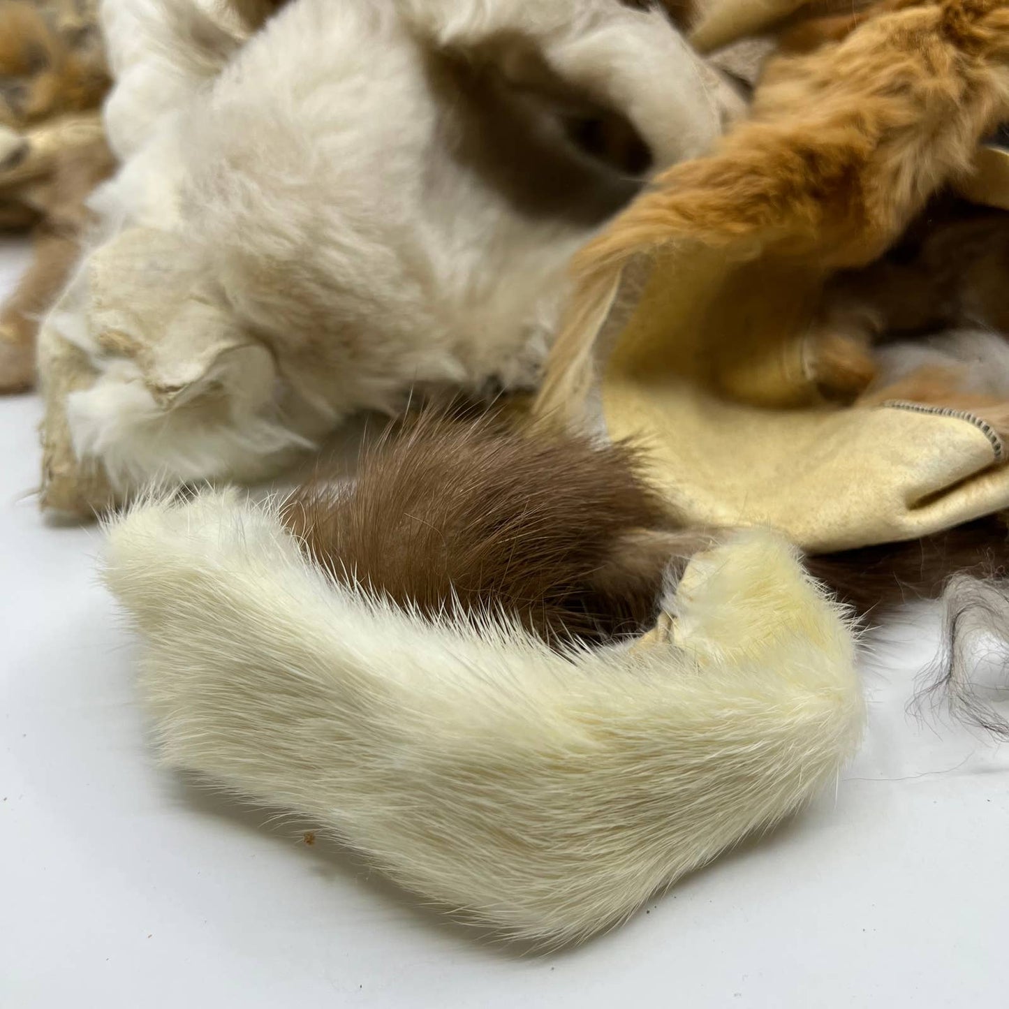 HUGE Fur Scrap Lot 2+ Pounds Fox Coyote Beaver Ermine More Craft Remnants FL3