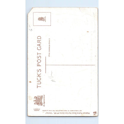 Smile When You Fail Raphael Tuck Original Postcard TK1-P14