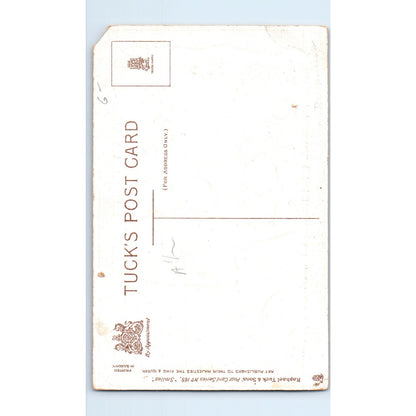 Smile When You Fail Raphael Tuck Original Postcard P2-12
