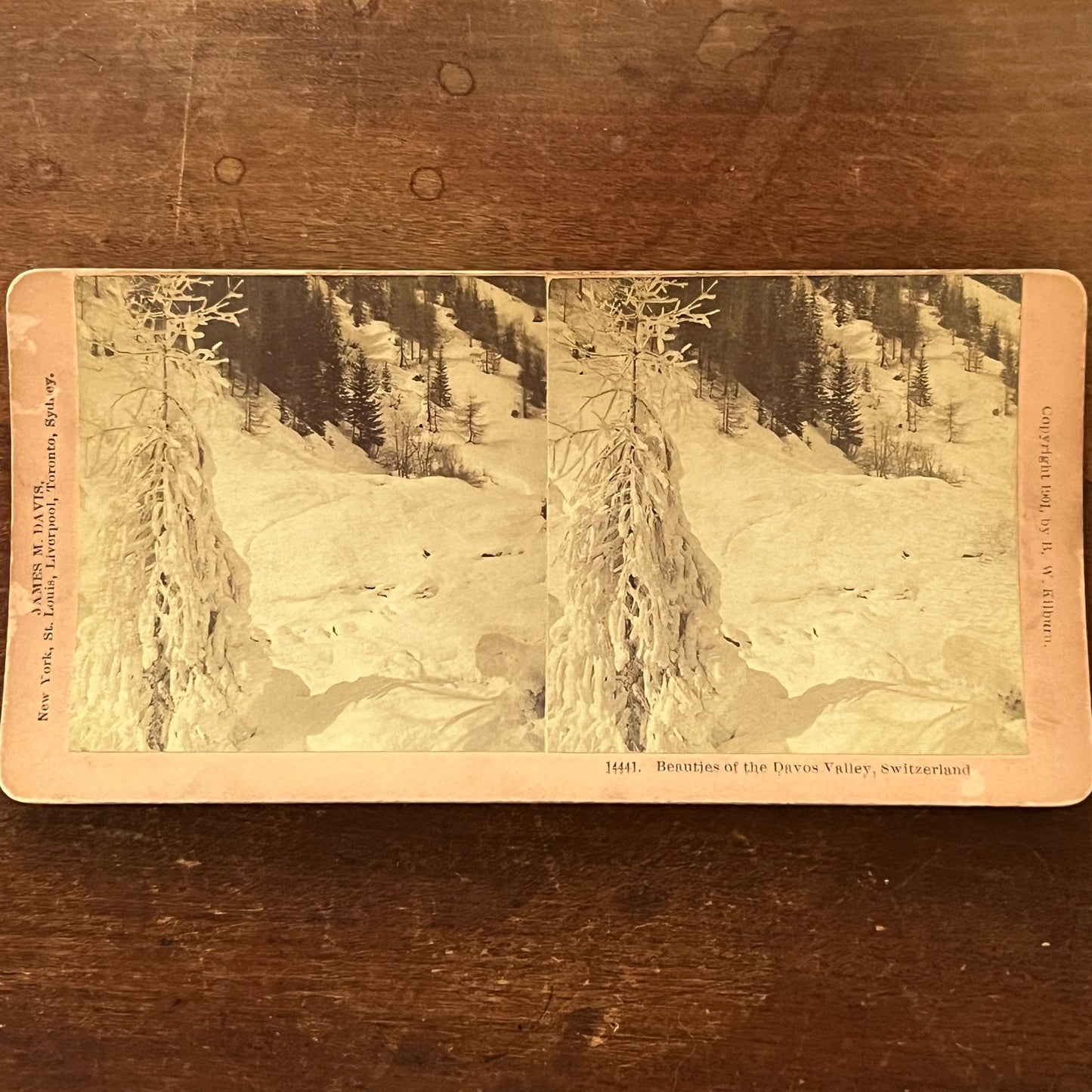 Beauties of the Davos Valley Switzerland Antique Stereoview Card H2-5