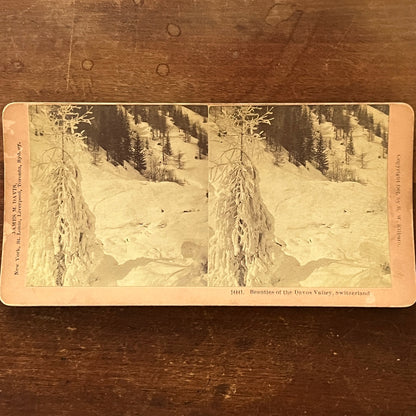 Beauties of the Davos Valley Switzerland Antique Stereoview Card H2-5