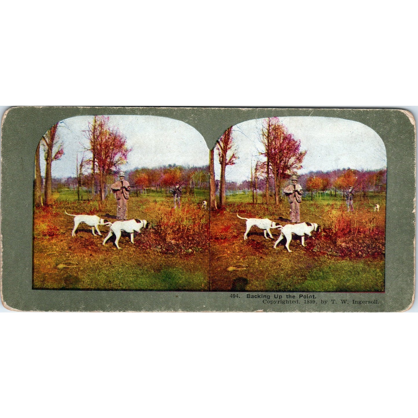 Hunting Dogs Spaniels Backing Up the Point - Antique Stereoview Card H3-2
