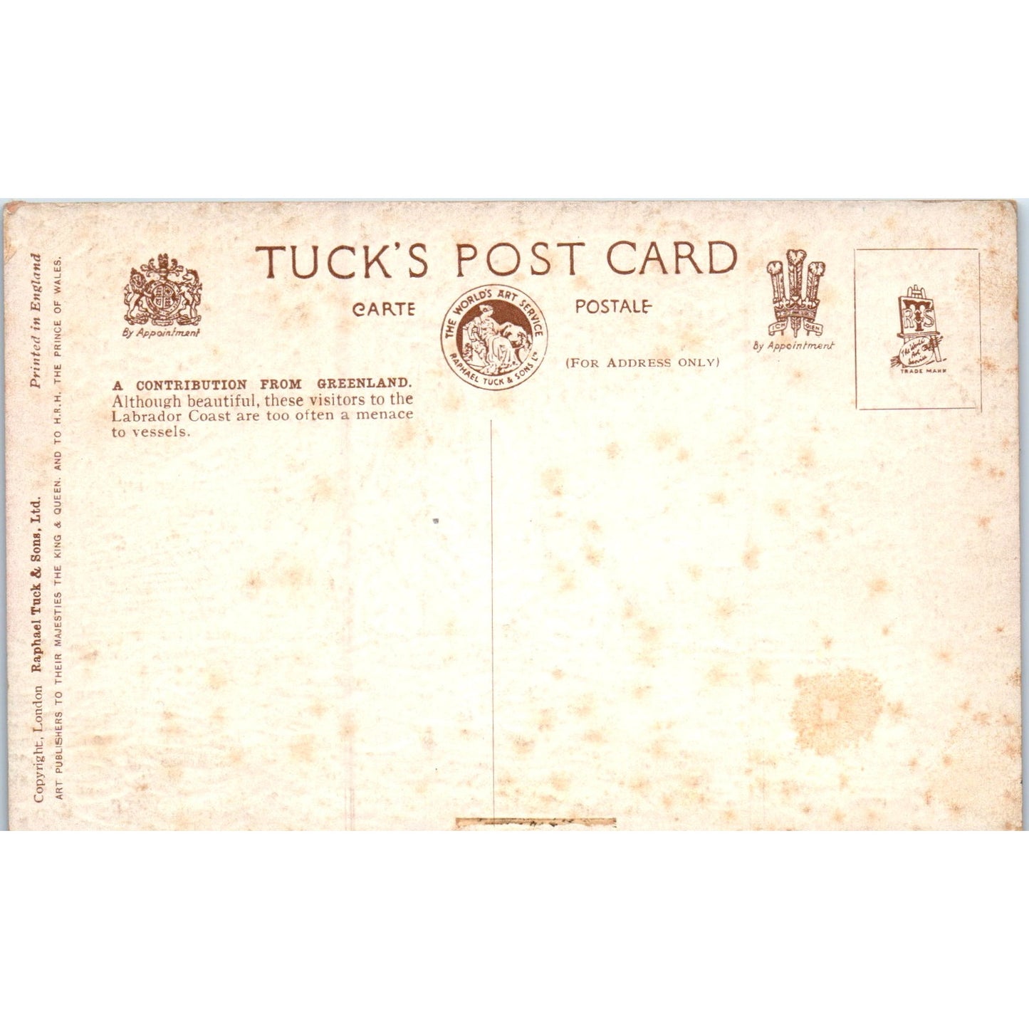 A Contribution from Greenland Glacier Raphael Tuck Original Postcard P3-2