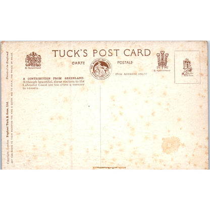 A Contribution from Greenland Glacier Raphael Tuck Original Postcard P3-2