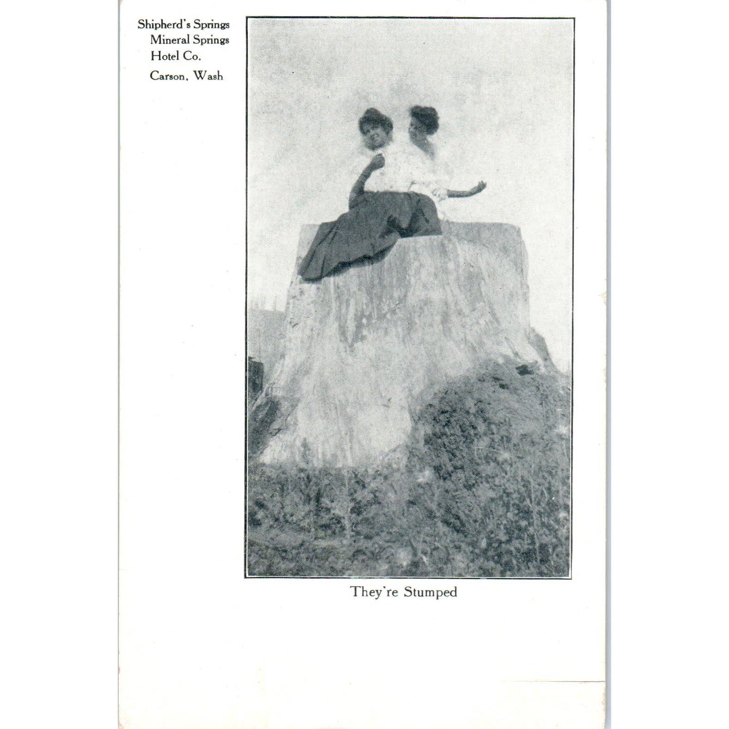 Vintage Postcard Shepherd's Springs, Mineral Springs Hotel Co Carson WA TD9-W2