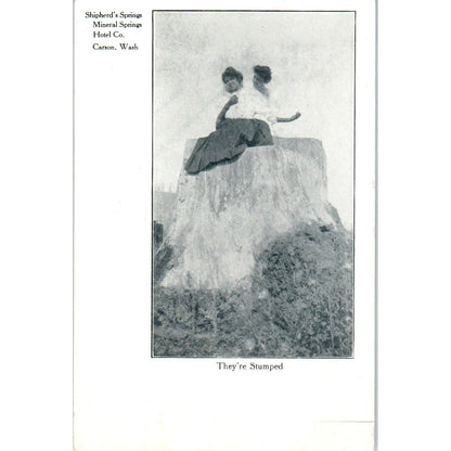 Vintage Postcard Shepherd's Springs, Mineral Springs Hotel Co Carson WA TD9-W2