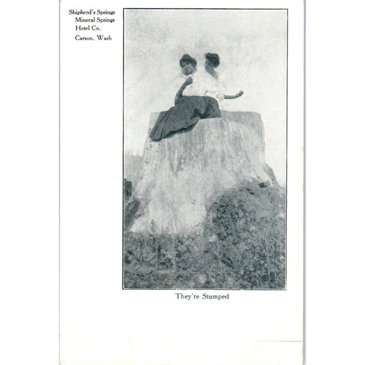 Vintage Postcard Shepherd's Springs, Mineral Springs Hotel Co Carson WA TD9-W2