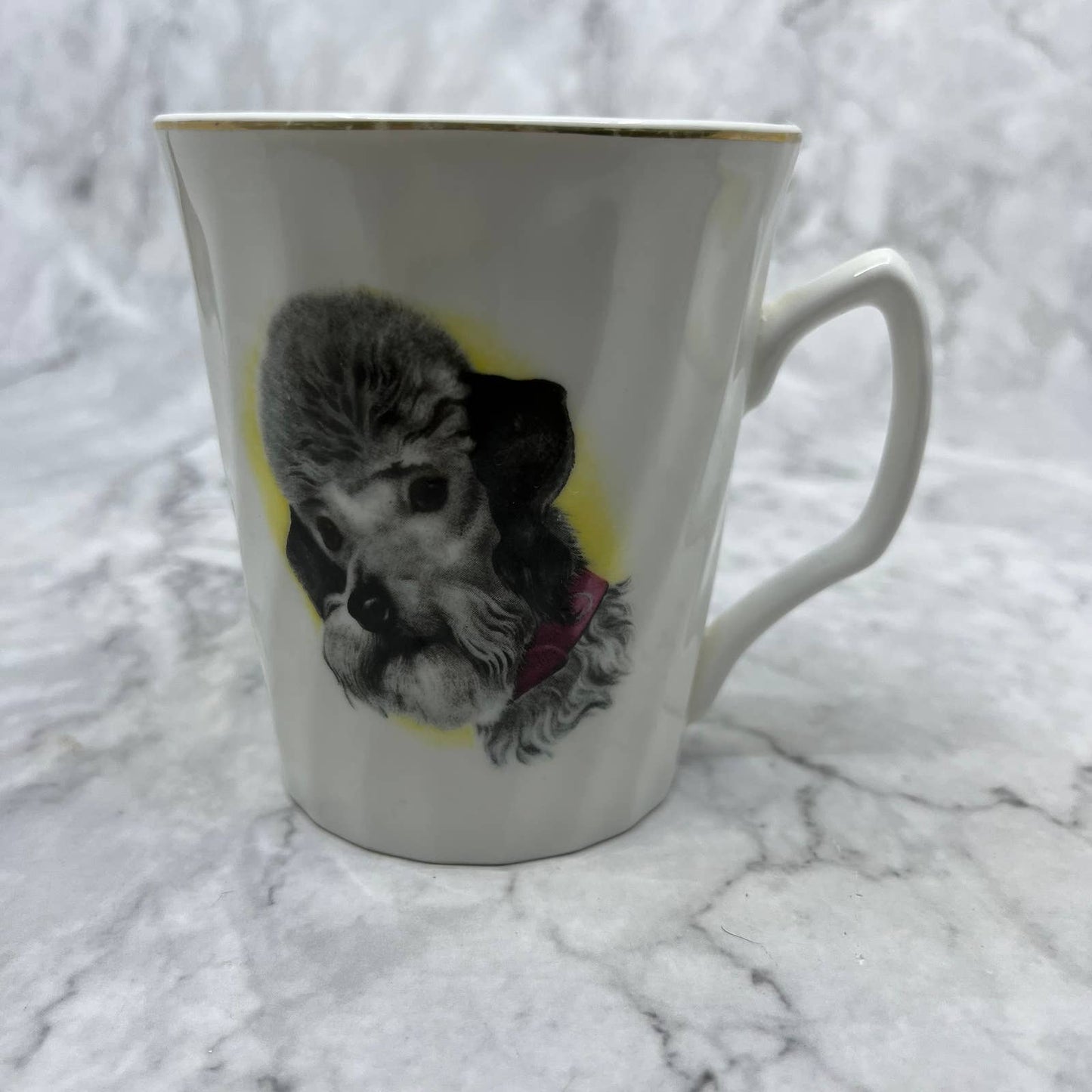 Vintage Roy Kirkham Poodle Dog Cup Mug Fine Bone China England TH1