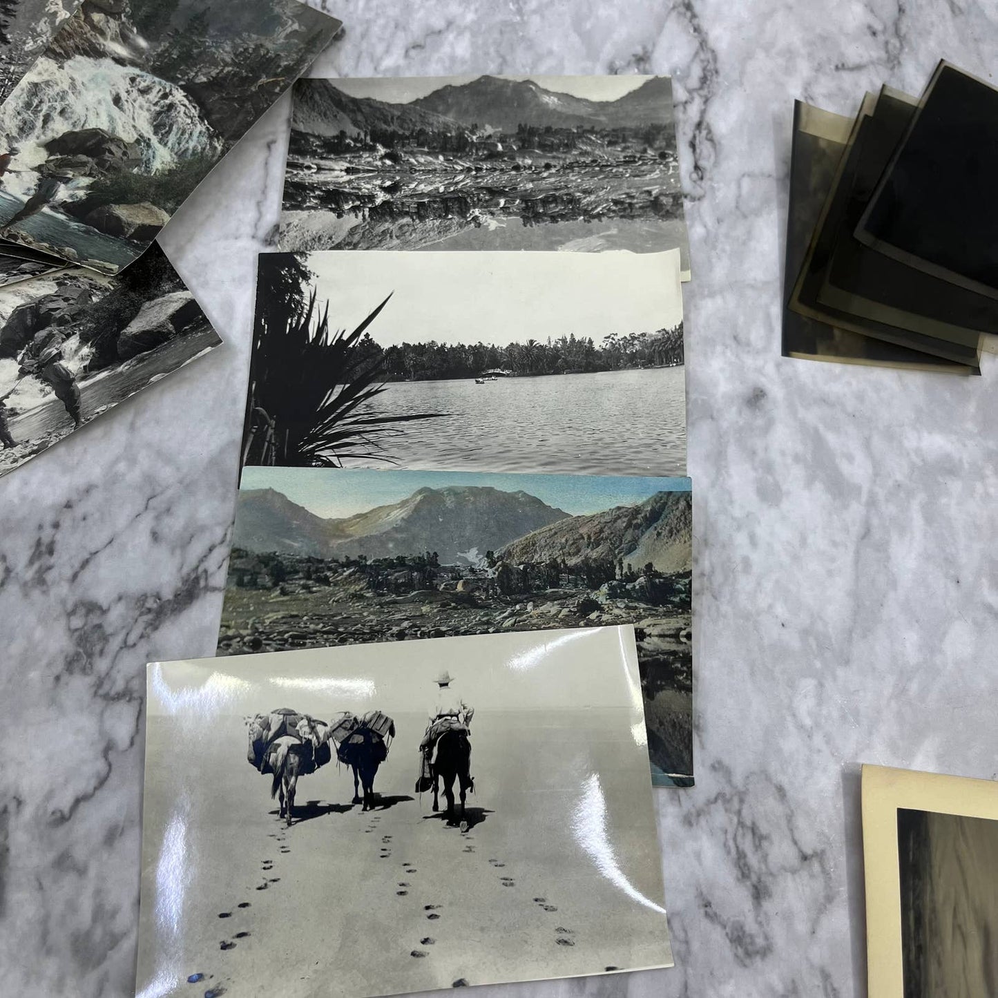 1920s Collection of Photos & Negatives of California Landscape Views TJ8