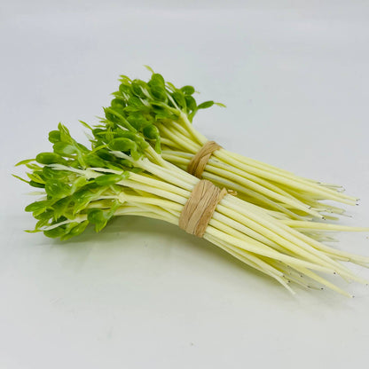 2 Bunches Vintage Artificial Fake Bean Sprouts TD3-2