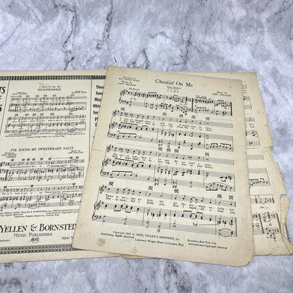 Cheatin' On Me Jack Yellen Lew Pollack Sophie Tucker 1925 Sheet Music V42-1