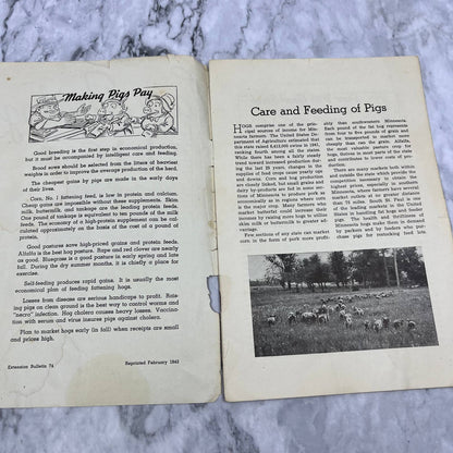 1938 Care and Feeding of Pigs U of M MN Bulletin Booklet E.F. Ferrin TH1