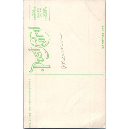 Hot Springs - Yellowstone Park Original Postcard TK1-P14