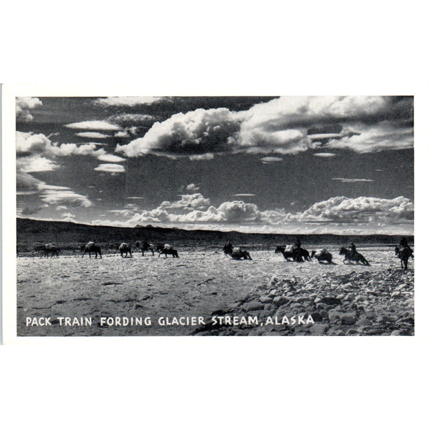 Pack Train Fording Glacier Stream RPPC Alaska Original Postcard P2-6