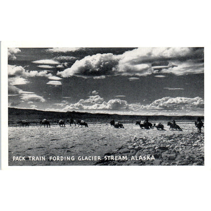 Pack Train Fording Glacier Stream RPPC Alaska Original Postcard P2-6