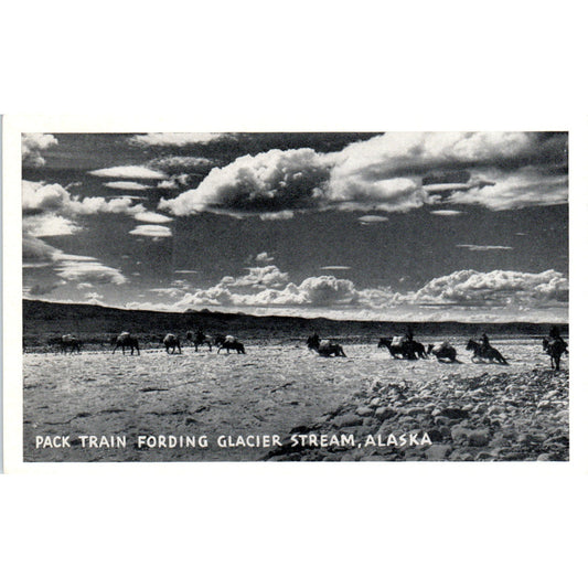 Pack Train Fording Glacier Stream RPPC Alaska Original Postcard P2-6