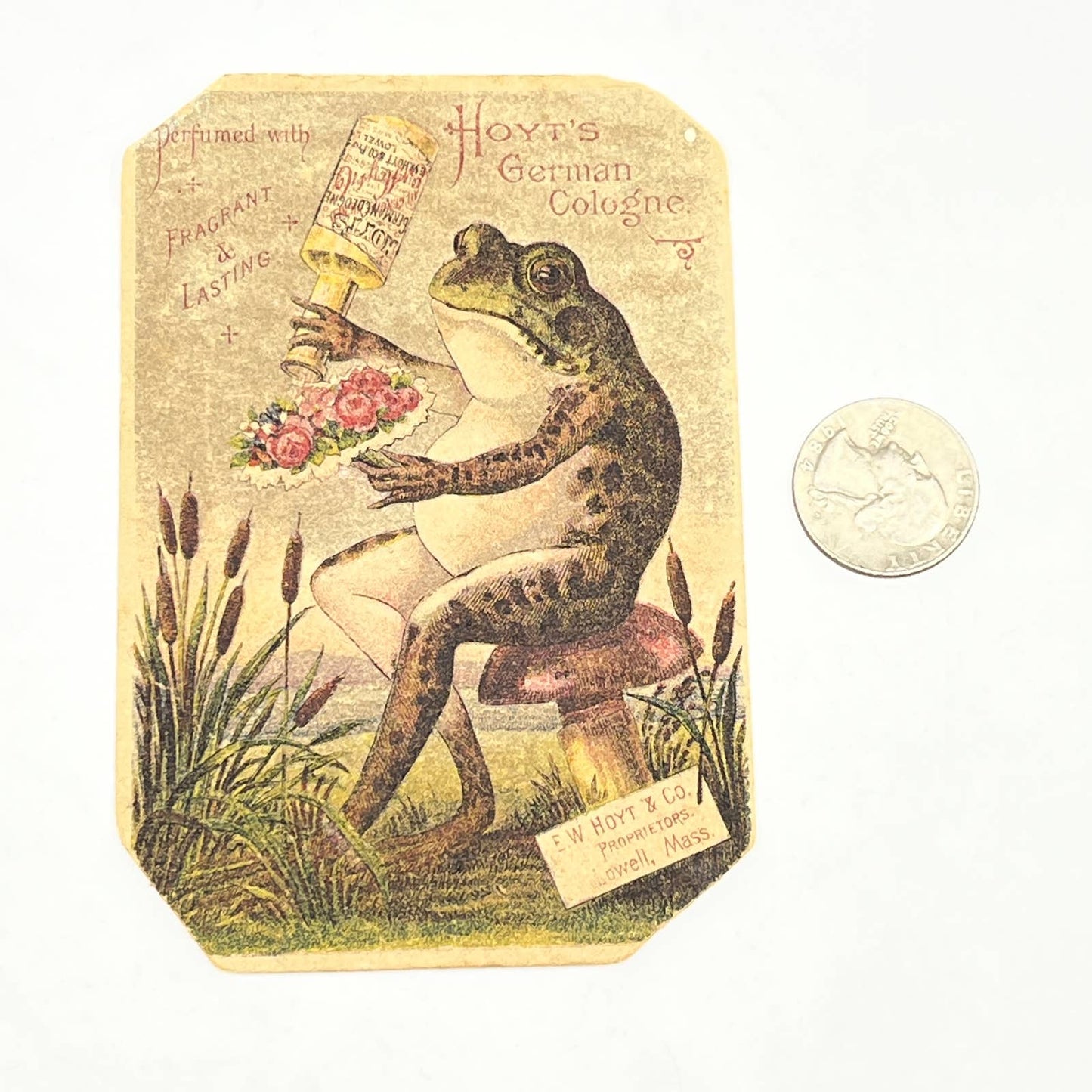 Original 1880s Trade Card Hoyt's German Cologne Lowell Anthropomorphic Frog AB6