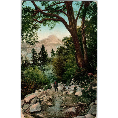 Mariposa County California 1911 Original Postcard P3-3