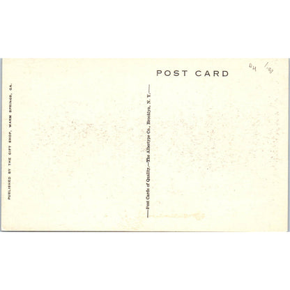 The Pergola and Georgia Hall Warm Springs GA Original Postcard TK1-P1