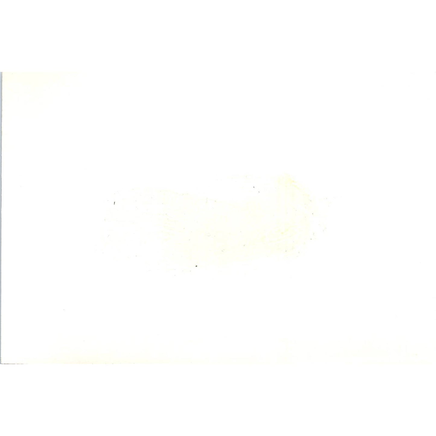 Australian Ambassador Waller Presents Flag to Pres. Ward 1966 Photo 5x7 TK1-P4