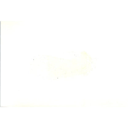 Australian Ambassador Waller Presents Flag to Pres. Ward 1966 Photo 5x7 TK1-P4