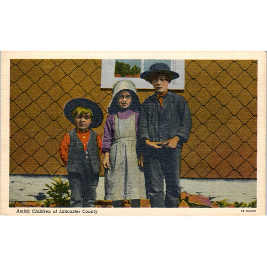 Vintage Postcard Amish Children of Lancaster County Philadelphia PA TD9-P1