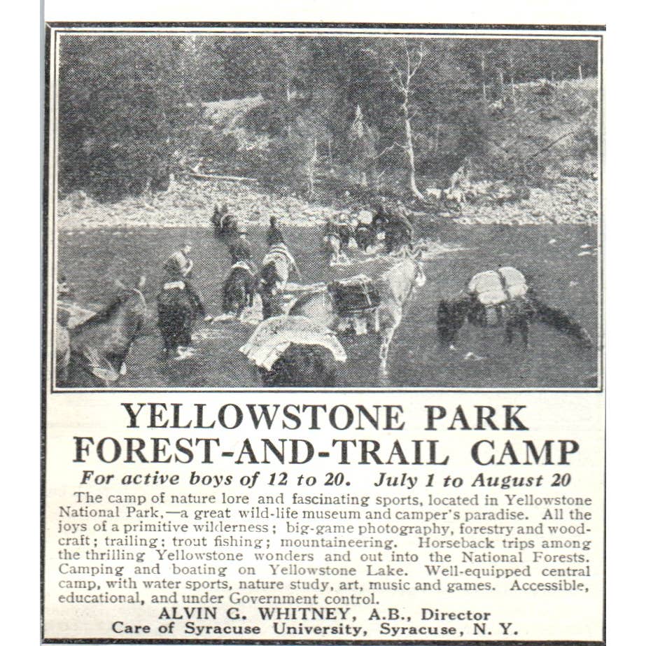 c1920 Harper's Ad Yellowstone Park Forest-and-Trail Camp Alvin G. Whitney EA3-2